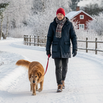 Jag behöver en bild på svensk man på vintern som går på en promenad med sin hund